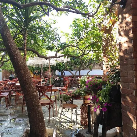 Auberge de jeunesse Oda Hostel *